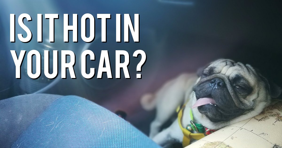 IS IT HOT IN YOUR CAR?